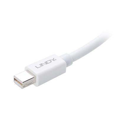 Mini DisplayPort Male to DVI-D Female Passive Converter - White